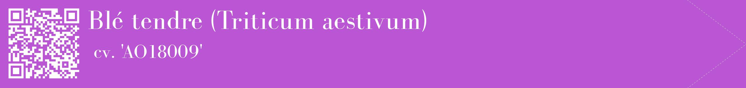 étiquette 2