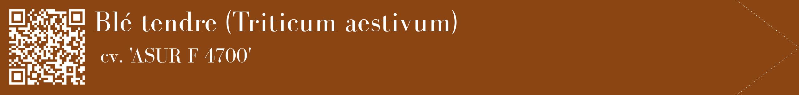 étiquette 2