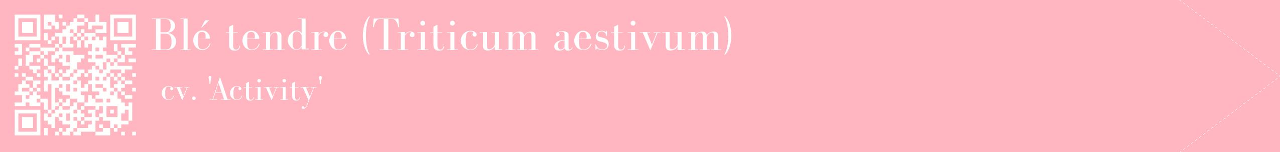 étiquette 2