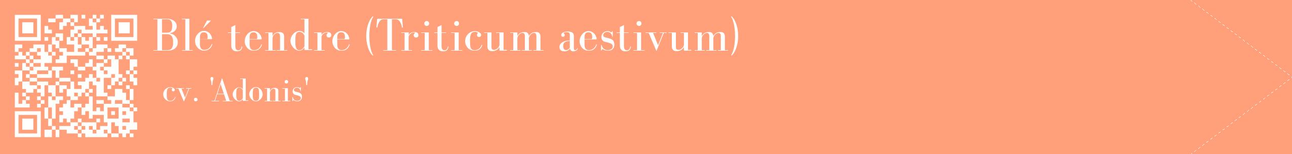 étiquette 2