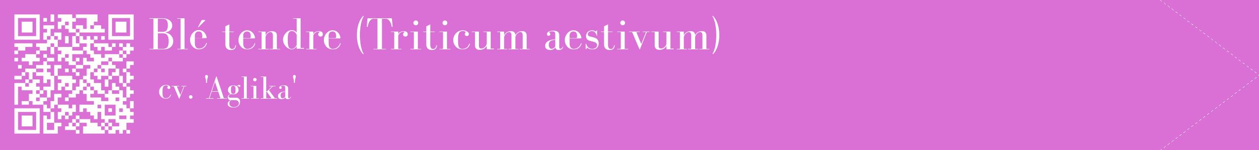 étiquette 2