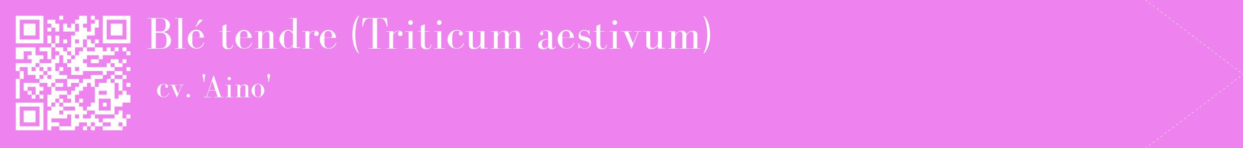 étiquette 2