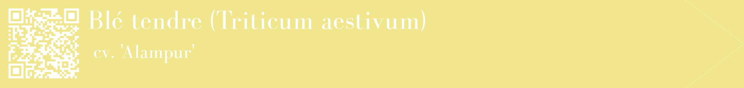 étiquette 2