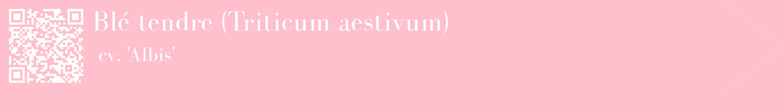 étiquette 2