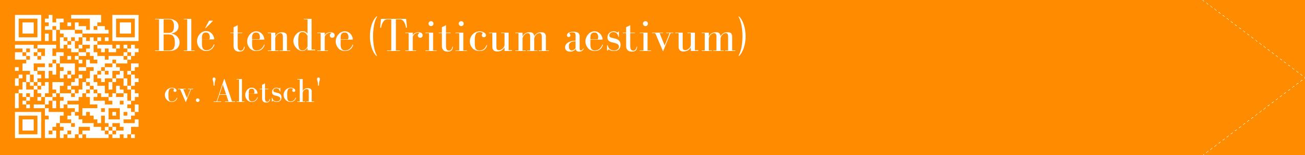 étiquette 2