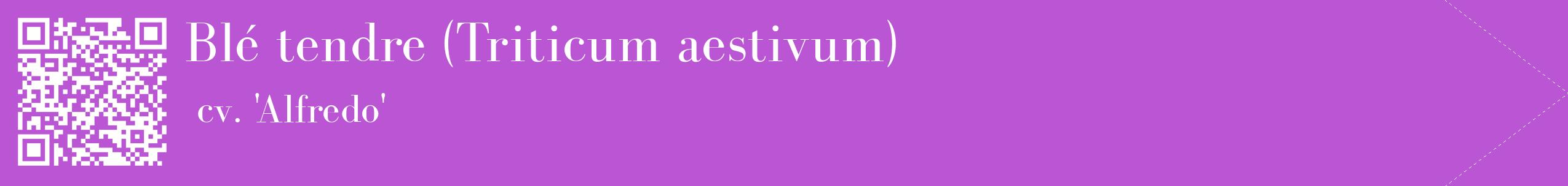 étiquette 2