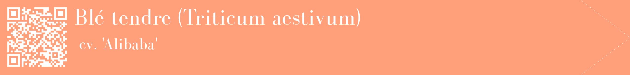 étiquette 2