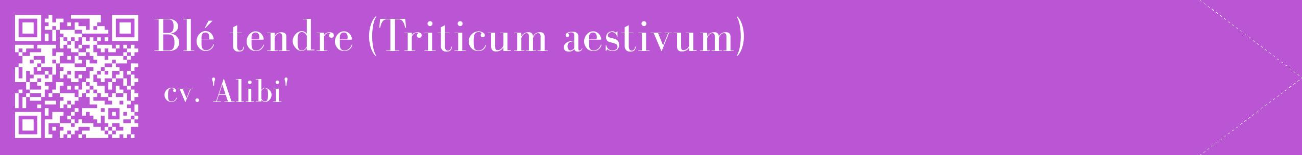 étiquette 2