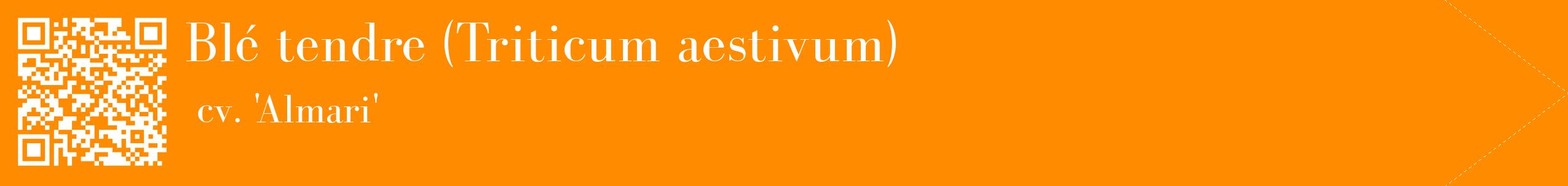 étiquette 2