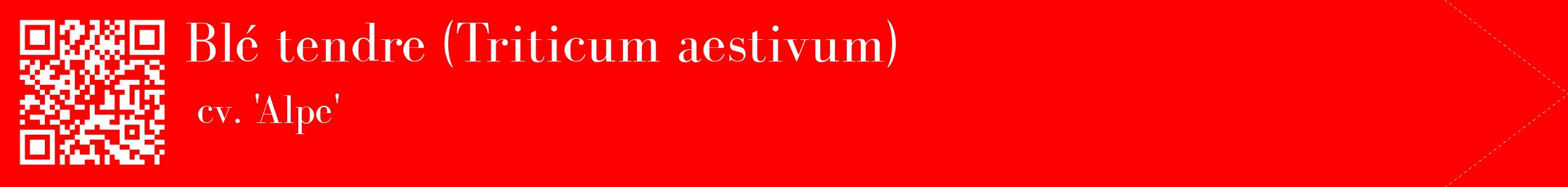 étiquette 2