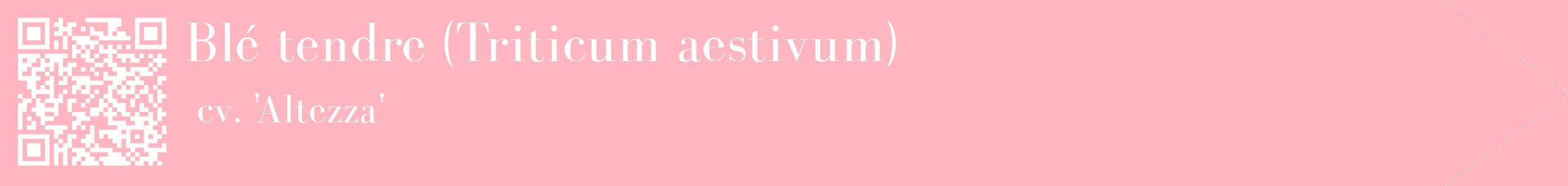 étiquette 2