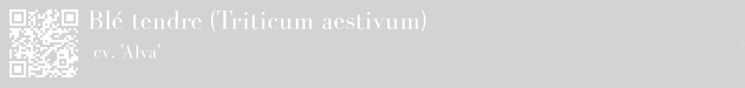 étiquette 2