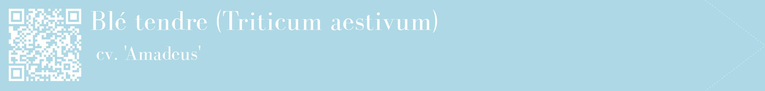 étiquette 2