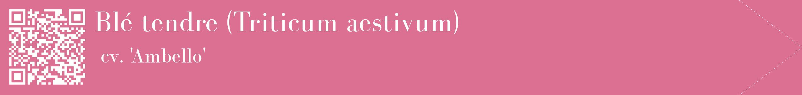 étiquette 2