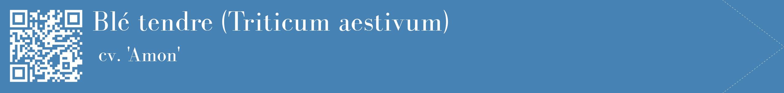 étiquette 2