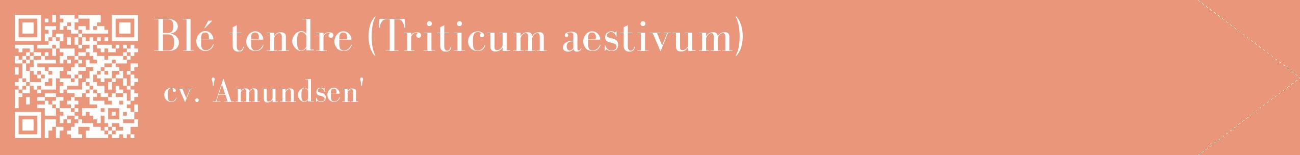 étiquette 2