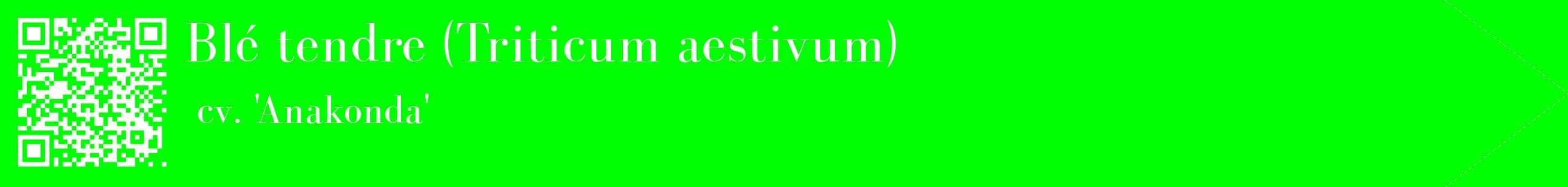étiquette 2