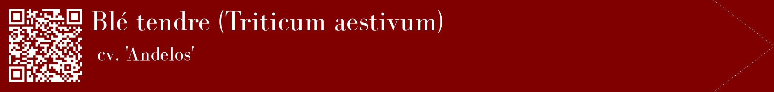 étiquette 2