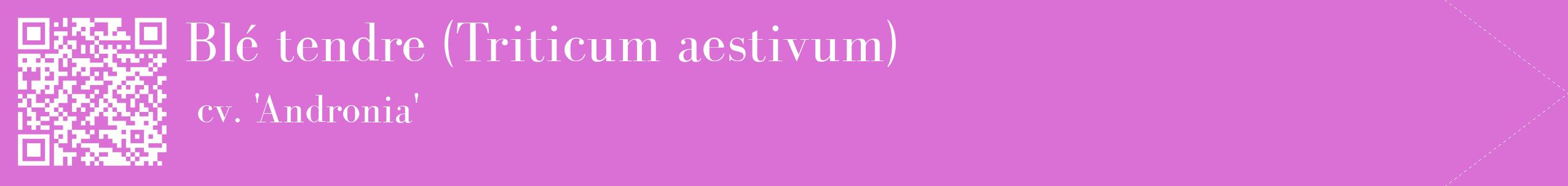 étiquette 2