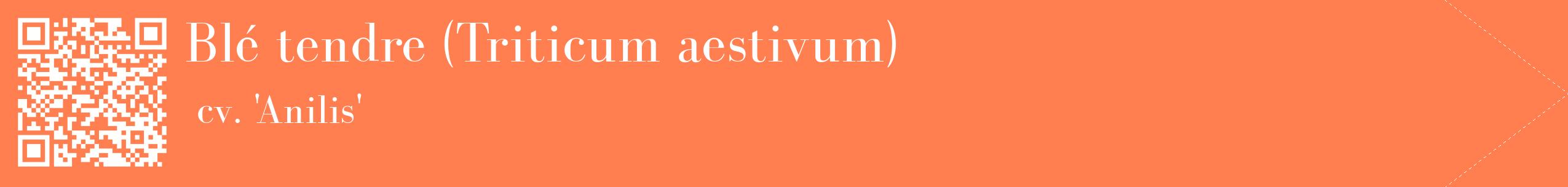 étiquette 2