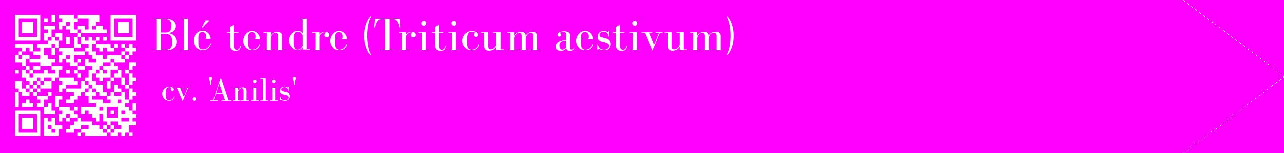 étiquette 2