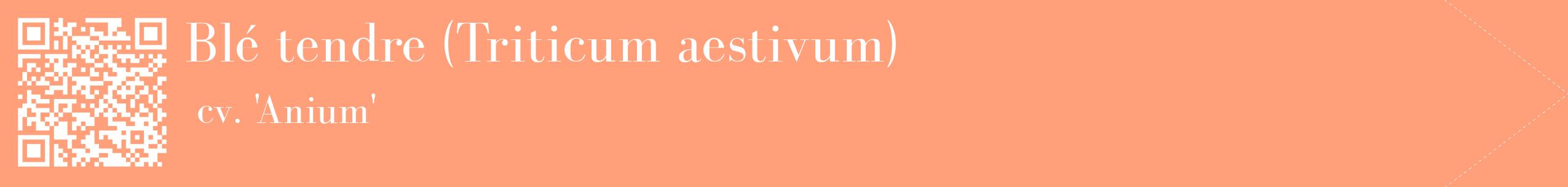 étiquette 2
