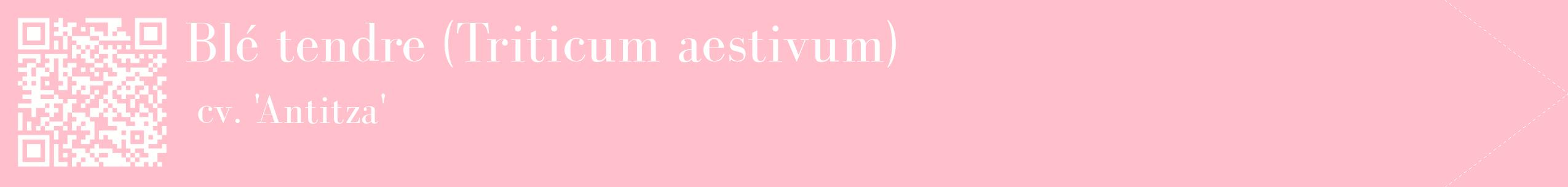 étiquette 2