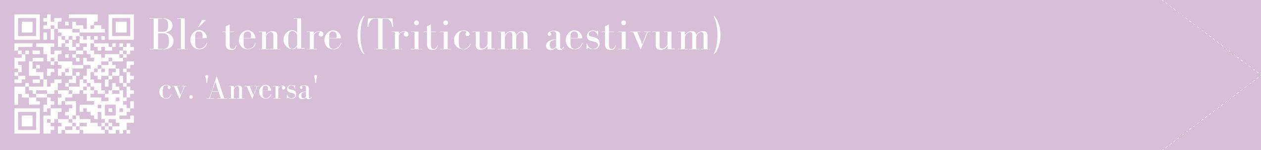 étiquette 2