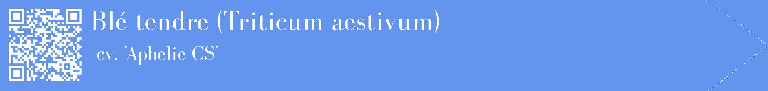 étiquette 2