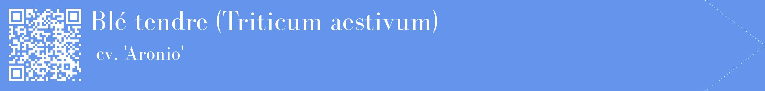 étiquette 2