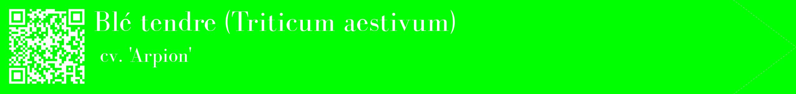 étiquette 2