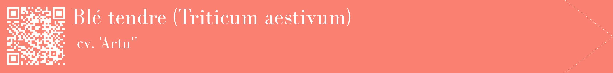 étiquette 2