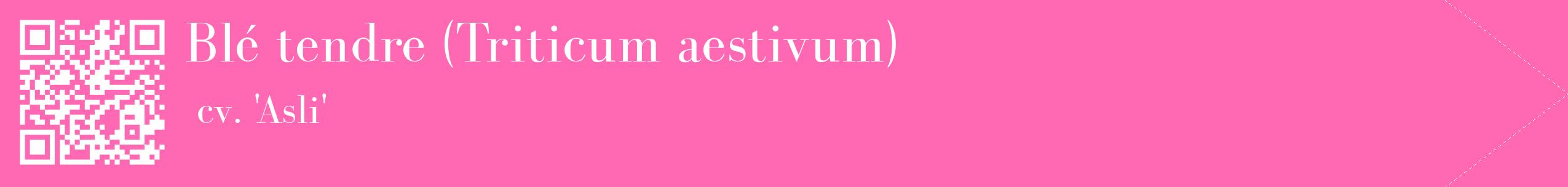 étiquette 2