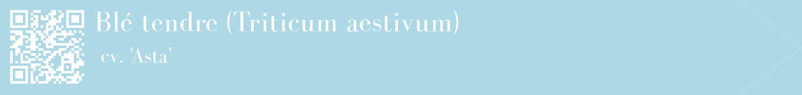étiquette 2