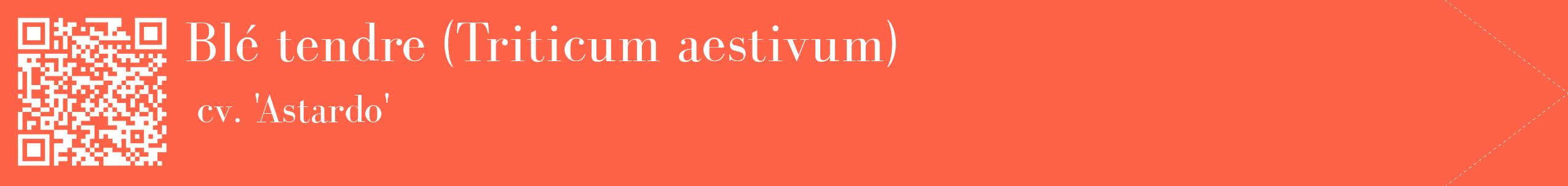 étiquette 2