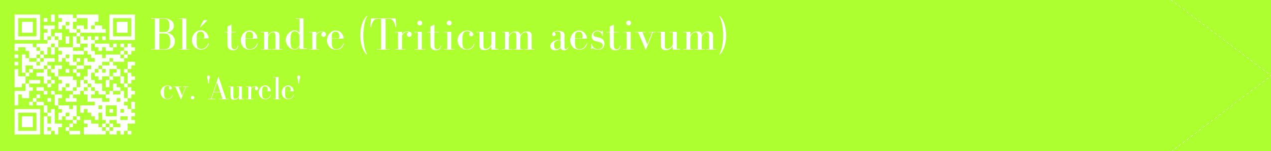étiquette 2