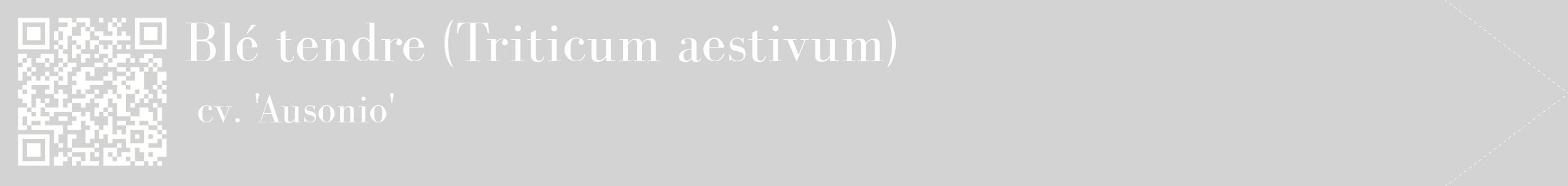 étiquette 2