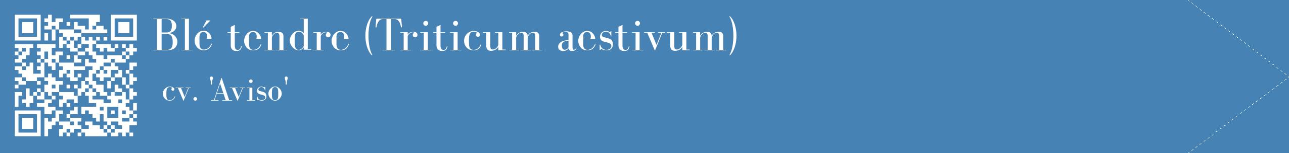 étiquette 2
