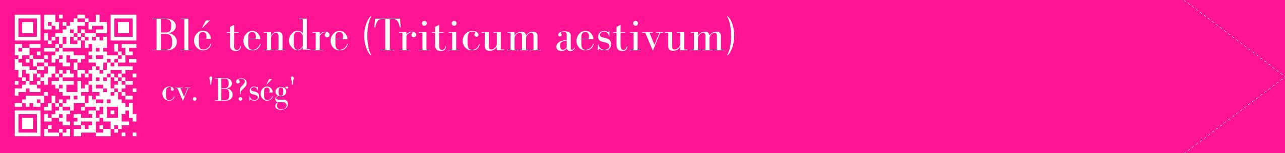 étiquette 2