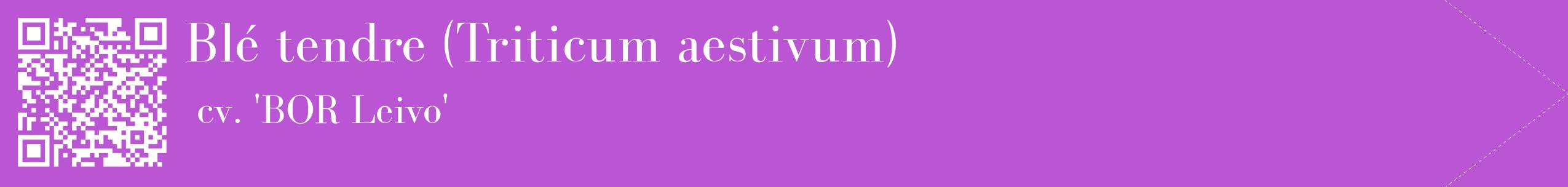 étiquette 2