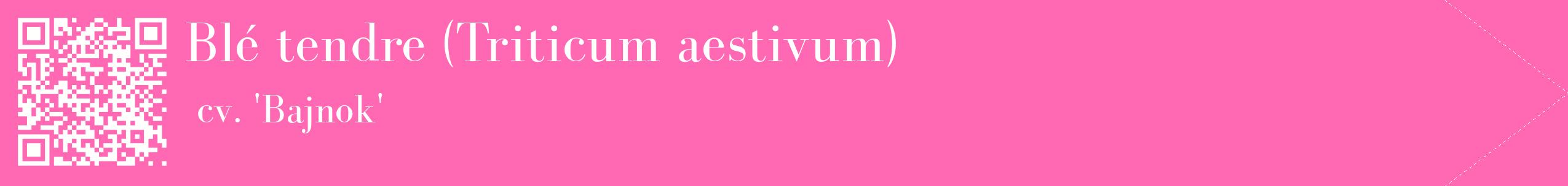 étiquette 2
