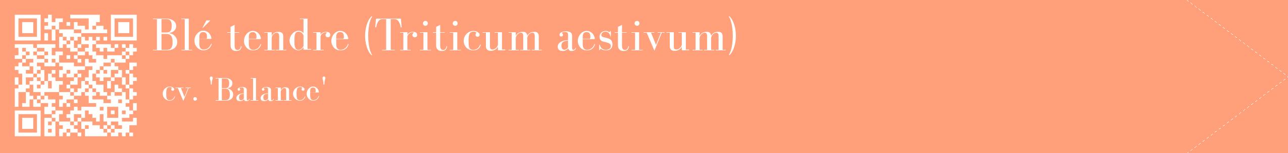étiquette 2