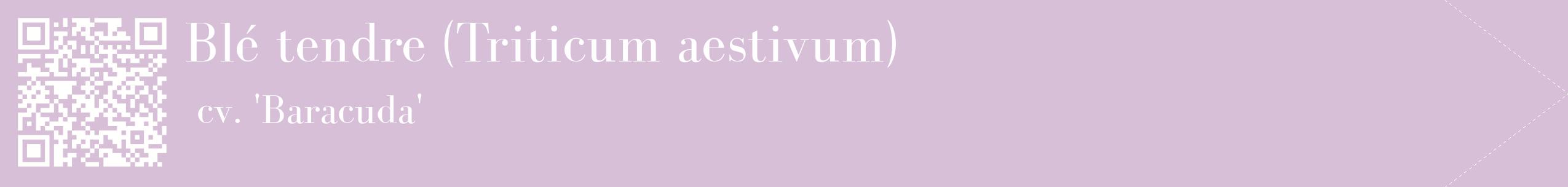 étiquette 2
