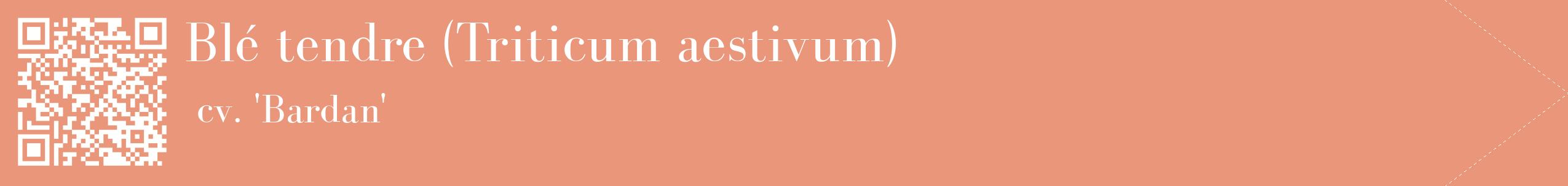 étiquette 2