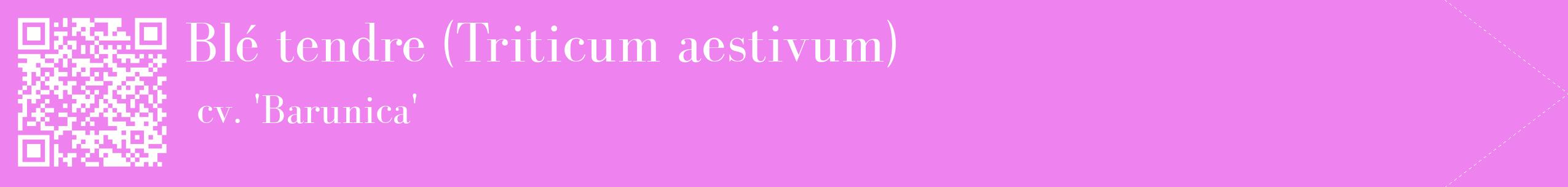 étiquette 2