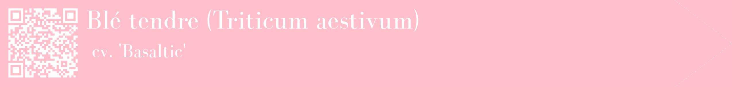 étiquette 2