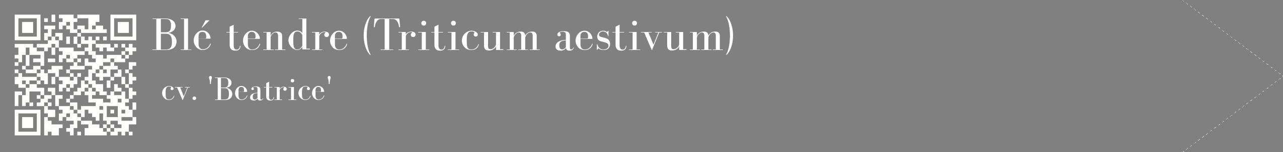 étiquette 2