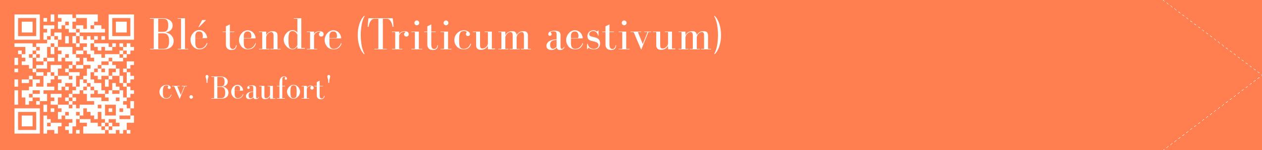 étiquette 2
