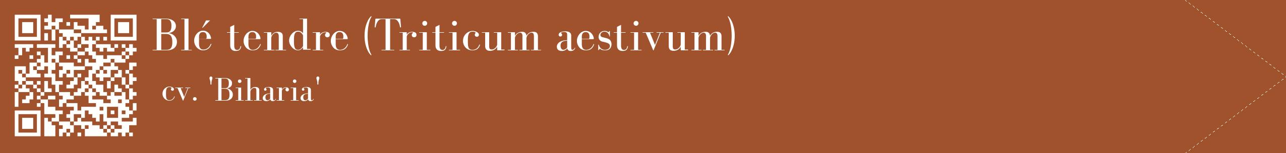 étiquette 2