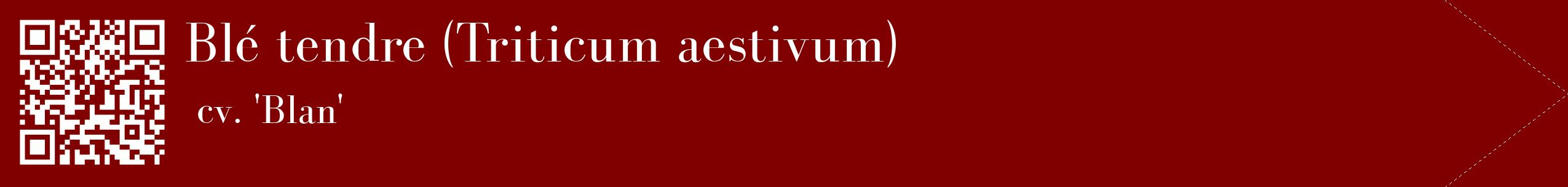 étiquette 2